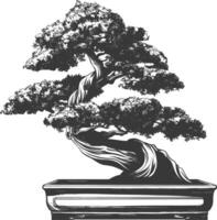 bonsai tree images using Old engraving style body black color only vector