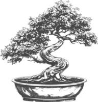 bonsai tree images using Old engraving style body black color only vector