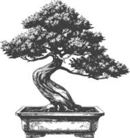 bonsai tree images using Old engraving style body black color only vector