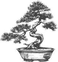 bonsai tree images using Old engraving style body black color only vector