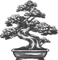 bonsai tree images using Old engraving style body black color only vector