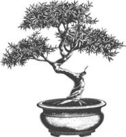 bonsai tree images using Old engraving style body black color only vector