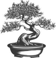 bonsai tree images using Old engraving style body black color only vector