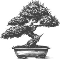 bonsai tree images using Old engraving style body black color only vector