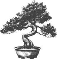 bonsai tree images using Old engraving style body black color only vector