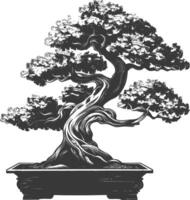 bonsai tree images using Old engraving style body black color only vector