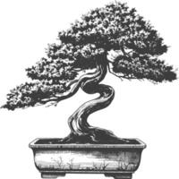 bonsai tree images using Old engraving style body black color only vector