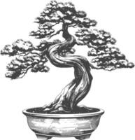 bonsai tree images using Old engraving style body black color only vector