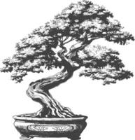 bonsai tree images using Old engraving style body black color only vector