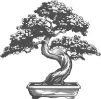 bonsai tree images using Old engraving style body black color only vector