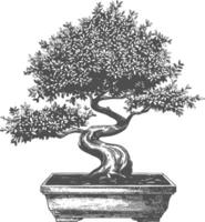 bonsai tree images using Old engraving style body black color only vector