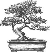 bonsai tree images using Old engraving style body black color only vector