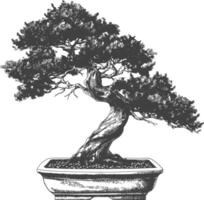 bonsai tree images using Old engraving style body black color only vector