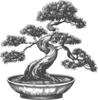 bonsai tree images using Old engraving style body black color only vector