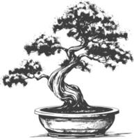 bonsai tree images using Old engraving style body black color only vector