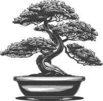 bonsai tree images using Old engraving style body black color only vector