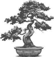 bonsai tree images using Old engraving style body black color only vector