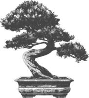 bonsai tree images using Old engraving style body black color only vector