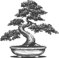 bonsai tree images using Old engraving style body black color only vector