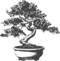 bonsai tree images using Old engraving style body black color only vector