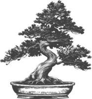 bonsai tree images using Old engraving style body black color only vector