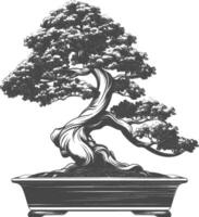 bonsai tree images using Old engraving style body black color only vector