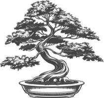 bonsai tree images using Old engraving style body black color only vector