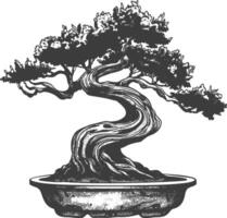 bonsai tree images using Old engraving style body black color only vector