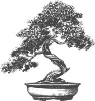 bonsai tree images using Old engraving style body black color only vector