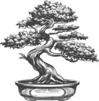 bonsai tree images using Old engraving style body black color only vector