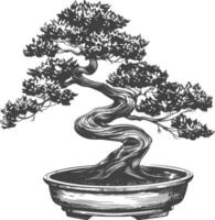 bonsai tree images using Old engraving style body black color only vector