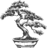 bonsai tree images using Old engraving style body black color only vector