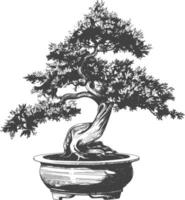 bonsai tree images using Old engraving style body black color only vector