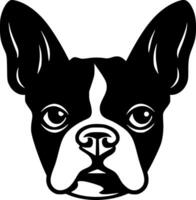 bostón terrier, negro y blanco ilustración vector