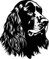 Cocker Spaniel, Black and White illustration vector