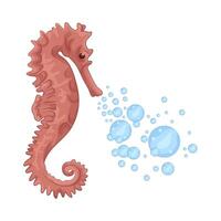 Illustration of seahorse vector