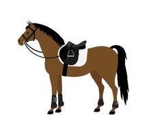 flat bay horse with saddle and bridle vector