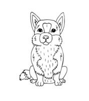 hand drawn doodle sketch corgi dog vector