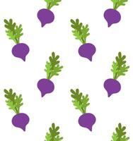 seamless pattern of cartoon beet root vector