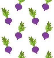 seamless pattern of cartoon beet root vector