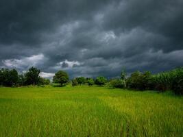 the sky a thunder-storm photo