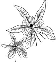 Continuous line drawing of columbine flower with leaves. illustration vector