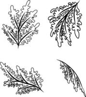 Continuous line drawing of collection of leaves. illustration vector