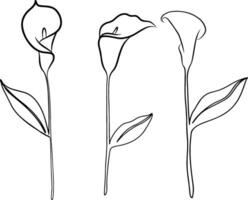 Continuous line drawing of flower with leaves. illustration vector