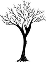 Hand drawing of tree without leaves. Doodle illustration vector