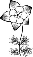 Continuous line drawing of columbine flower with leaves. illustration vector