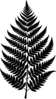 A black and white silhouette of a fern leaf vector