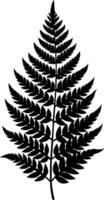 A black and white silhouette of a fern leaf vector