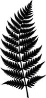 A black and white silhouette of a fern leaf vector