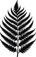 A black and white silhouette of a fern leaf vector